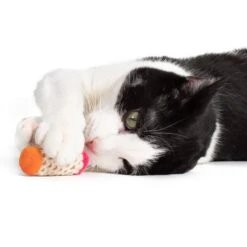 Hauspanther Bamboleos Wine Cork Catnip Chaser Cat Toy -Furry Friends 201268 PT3. AC SS1800 V1569013191