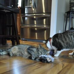 Turbo Catnip Belly Hedgehog Plush Cat Toy With Catnip -Furry Friends 202176 PT3. AC SS1800 V1677960130