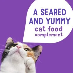 Friskies Lil' Grillers Seared Cuts With Turkey In Gravy Wet Cat Food, 1.55-oz Pouches, Case Of 16 14 Friskies Lil' Grillers Seared Cuts With Turkey In Gravy Wet Cat Food, 1.55-oz Pouches, Case Of 16 -Furry Friends 202279 PT3. AC SS1800 V1695923364