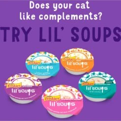 Friskies Lil' Grillers Seared Cuts With Turkey In Gravy Wet Cat Food, 1.55-oz Pouches, Case Of 16 16 Friskies Lil' Grillers Seared Cuts With Turkey In Gravy Wet Cat Food, 1.55-oz Pouches, Case Of 16 -Furry Friends 202279 PT5. AC SS1800 V1695847303