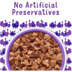 Friskies Lil' Grillers Seared Cuts With Turkey In Gravy Wet Cat Food, 1.55-oz Pouches, Case Of 16 17 Friskies Lil' Grillers Seared Cuts With Turkey In Gravy Wet Cat Food, 1.55-oz Pouches, Case Of 16 -Furry Friends 202279 PT6. AC SS1800 V1695737453