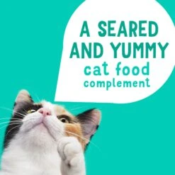 Friskies Lil' Grillers Seared Cuts With Ocean Fish In Gravy Wet Cat Food, 1.55-oz Pouches, Case Of 16 14 Friskies Lil' Grillers Seared Cuts With Ocean Fish In Gravy Wet Cat Food, 1.55-oz Pouches, Case Of 16 -Furry Friends 202283 PT3. AC SS1800 V1695744268