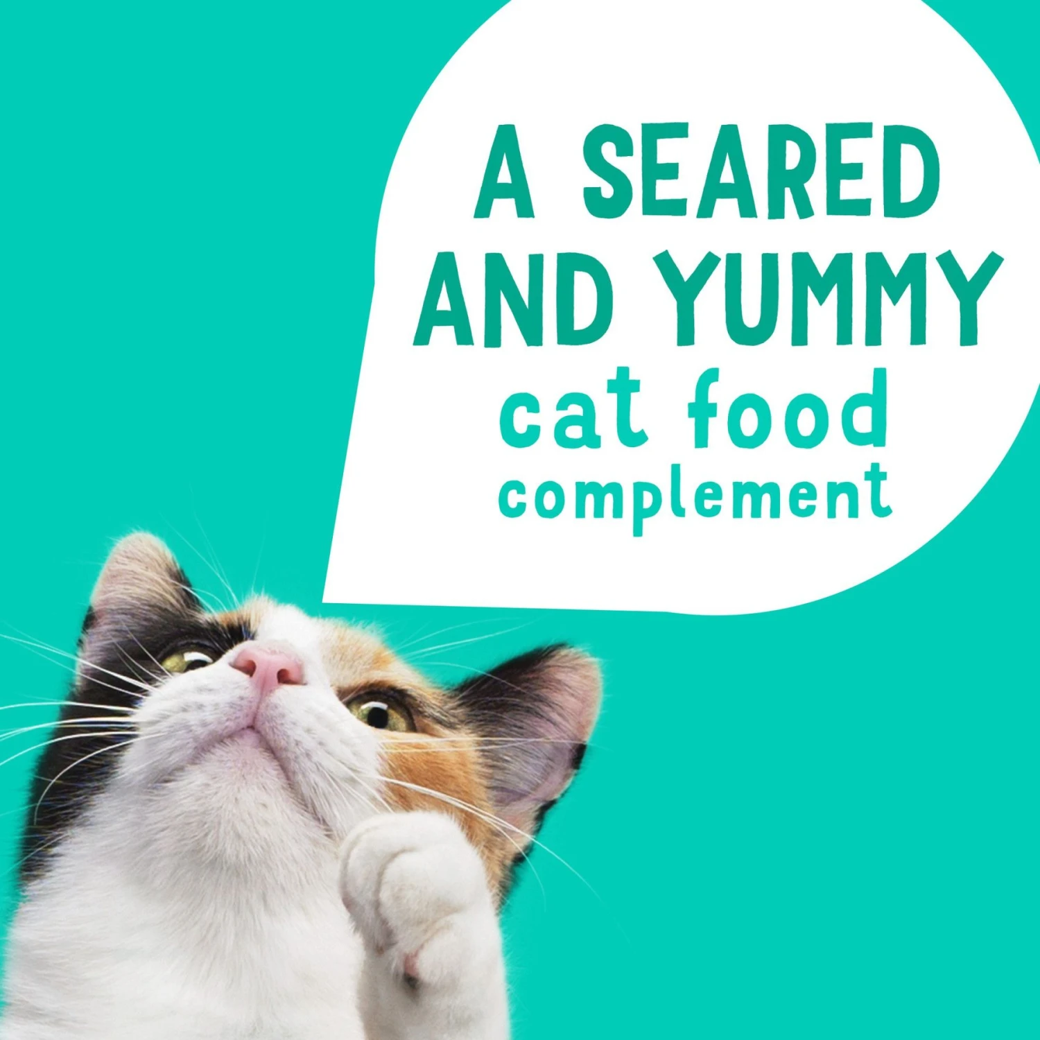 Friskies Lil' Grillers Seared Cuts With Ocean Fish In Gravy Wet Cat Food, 1.55-oz Pouches, Case Of 16 6 Friskies Lil' Grillers Seared Cuts With Ocean Fish In Gravy Wet Cat Food, 1.55-oz Pouches, Case Of 16 - Image 4