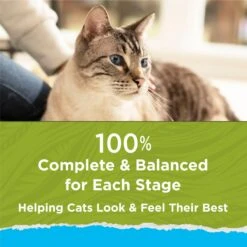 Cat Chow Naturals Indoor With Real Chicken & Turkey Dry Cat Food 17 Cat Chow Naturals Indoor With Real Chicken & Turkey Dry Cat Food -Furry Friends 202717 PT6. AC SS1800 V1695845947