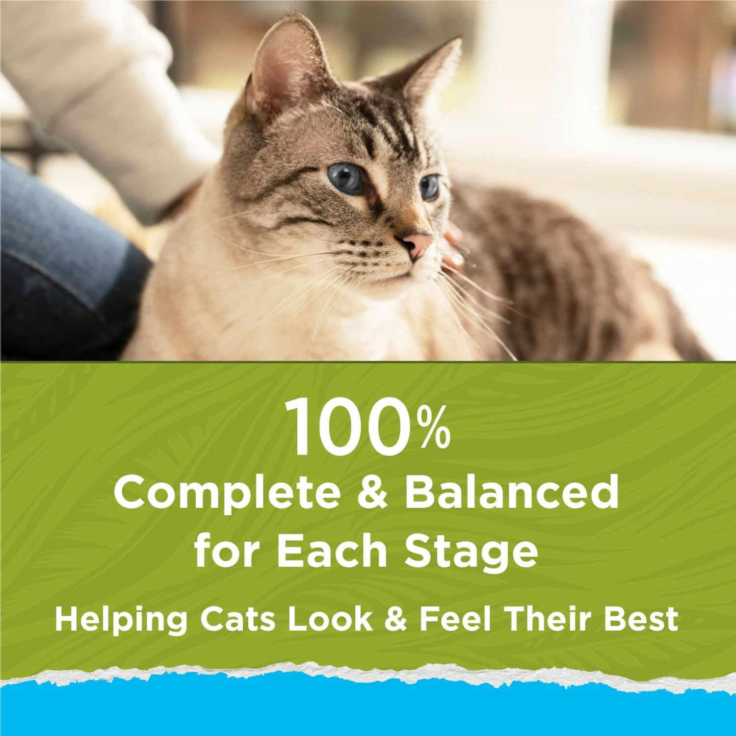 Cat Chow Naturals Indoor With Real Chicken & Turkey Dry Cat Food 9 Cat Chow Naturals Indoor With Real Chicken & Turkey Dry Cat Food - Image 7