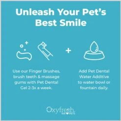Oxyfresh Dog & Cat Dental Kit 19 Oxyfresh Dog & Cat Dental Kit -Furry Friends 203052 PT8. AC SS1800 V1675806886