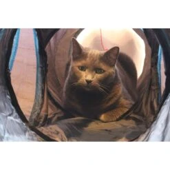 Feline Ruff 12" Premium 4-Way Collapsible Tunnel Cat Toy, Black & Blue -Furry Friends 203968 PT2. AC SS1800 V1594670775