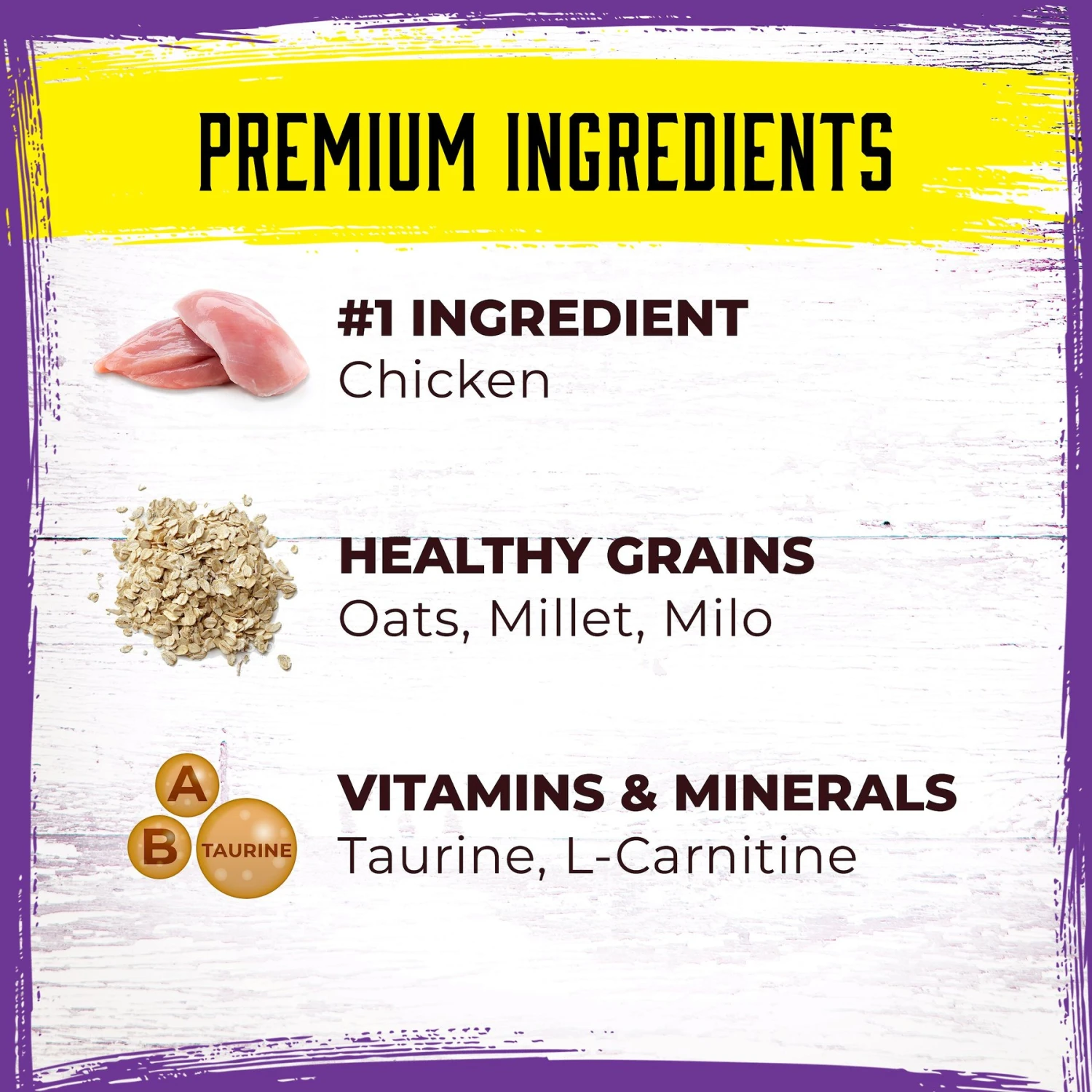 Inception Chicken Recipe Dry Cat Food 5 Inception Chicken Recipe Dry Cat Food - Image 3