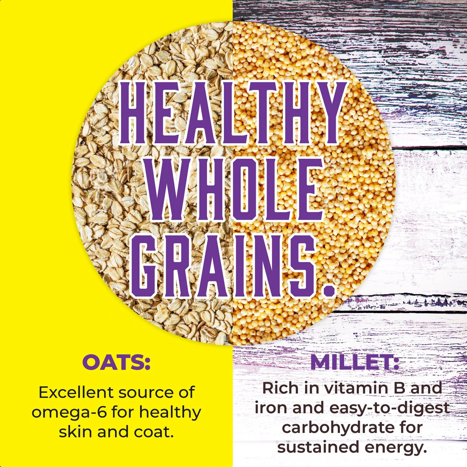 Inception Chicken Recipe Dry Cat Food 7 Inception Chicken Recipe Dry Cat Food - Image 5