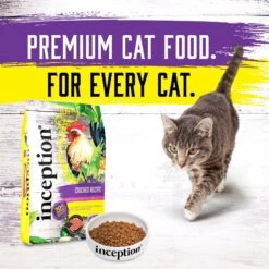 Inception Chicken Recipe Dry Cat Food 19 Inception Chicken Recipe Dry Cat Food -Furry Friends 205302 PT8. AC SS1800 V1642562282