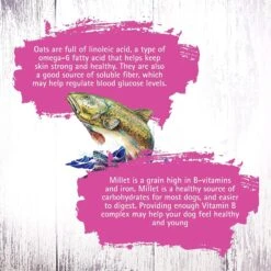 Inception Fish Recipe Dry Cat Food -Furry Friends 205306 PT6. AC SS1800 V1642565263