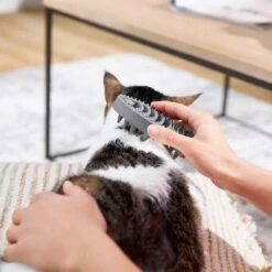 Frisco Cat Curry Brush 10 Frisco Cat Curry Brush -Furry Friends 206853 PT6. AC SS1800 V1680186158