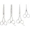 Frisco Shears Kit For Cats And Dogs 1 Frisco Shears Kit For Cats And Dogs -Furry Friends 206903 MAIN. AC SS1800 V1601659859