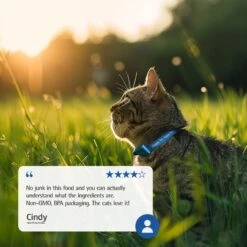 Farmina N&D Prime Chicken & Pomegranate Recipe Neutered Adult Cat Dry Food -Furry Friends 207637 PT7. AC SS1800 V1680640374