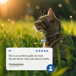 Farmina N&D Ancestral Grain Lamb & Blueberry Recipe Adult Cat Dry Food, 11-lb Bag -Furry Friends 207641 PT7. AC SS1800 V1678910066