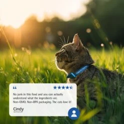 Farmina N&D Prime Boar & Apple Recipe Adult Cat Dry Food, 11-lb Bag -Furry Friends 207643 PT7. AC SS1800 V1678910009