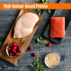 Nulo FreeStyle Chicken & Salmon Recipe Freeze-Dried Raw Cat Food -Furry Friends 209706 PT5. AC SS1800 V1665527274