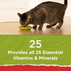 Purina Cat Chow Naturals Original With Added Vitamins, Minerals & Nutrients Dry Cat Food 14 Purina Cat Chow Naturals Original With Added Vitamins, Minerals & Nutrients Dry Cat Food -Furry Friends 211440 PT3. AC SS1800 V1695845919
