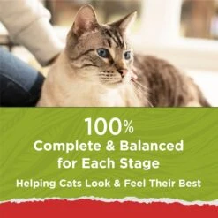 Purina Cat Chow Naturals Original With Added Vitamins, Minerals & Nutrients Dry Cat Food 17 Purina Cat Chow Naturals Original With Added Vitamins, Minerals & Nutrients Dry Cat Food -Furry Friends 211440 PT6. AC SS1800 V1695845925