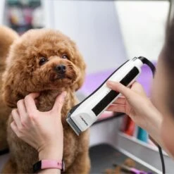 Babyliss Pro Pet Two Speed Professional Pet Motor Clipper -Furry Friends 211767 PT6. AC SS1800 V1652829721