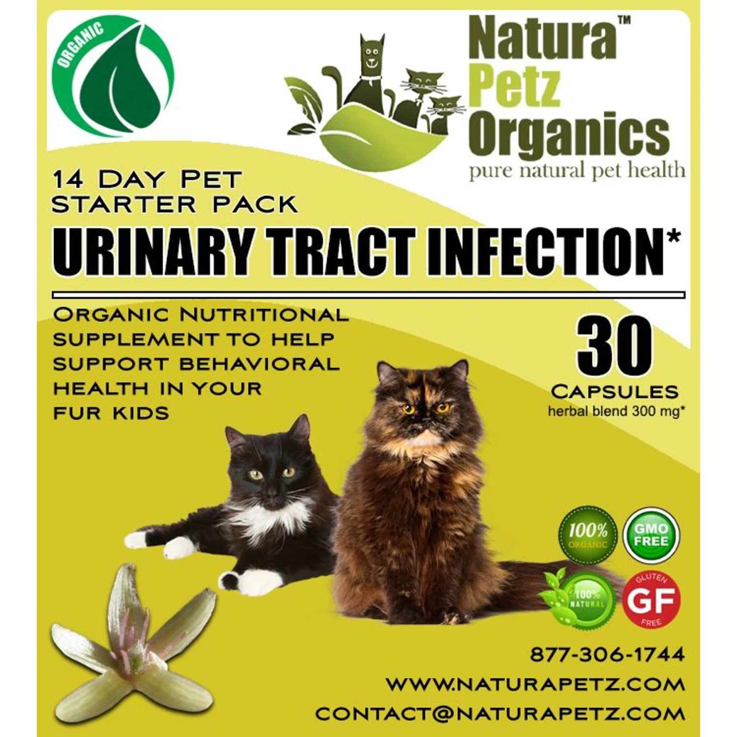 Natura Petz Organics Starter Pack Homeopathic Medicine For Urinary Tract Infections UTI For Cats 3 Natura Petz Organics Starter Pack Homeopathic Medicine For Urinary Tract Infections UTI For Cats