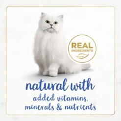 Fancy Feast Gourmet Naturals Natural Rainbow Trout Recipe In Gravy Canned Cat Food, 3-oz Can, Case Of 12 -Furry Friends 214801 PT3. AC SS1800 V1677103480