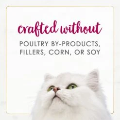 Fancy Feast Gourmet Naturals Natural White Meat Chicken & Beef Recipe In Gravy Canned Cat Food, 3-oz Can, Case Of 12 -Furry Friends 214805 PT6. AC SS1800 V1677102920