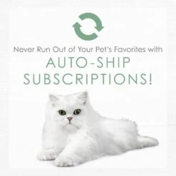 Fancy Feast Gourmet Naturals White Meat Chicken Recipe Grain-Free Pate Kitten Canned Cat Food, 3-oz Can, Case Of 12 -Furry Friends 214807 pt8. AC SS1800 V1576853089