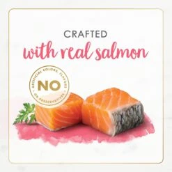 Fancy Feast Gourmet Naturals Natural Wild Alaskan Salmon Recipe Grain-Free Pate Kitten Canned Cat Food, 3-oz Can, Case Of 12 -Furry Friends 214809 PT4. AC SS1800 V1677102859