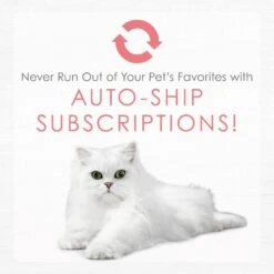 Fancy Feast Gourmet Naturals Natural Wild Alaskan Salmon Recipe Grain-Free Pate Kitten Canned Cat Food, 3-oz Can, Case Of 12 -Furry Friends 214809 pt8. AC SS1800 V1576853334