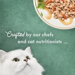 Fancy Feast Medleys Wild Alaskan Salmon Recipe With Garden Veggies In Sauce Canned Cat Food, 3-oz Can, Case Of 24 -Furry Friends 214813 PT3. AC SS1800 V1666043177