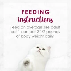 Fancy Feast Medleys Wild Alaskan Salmon Recipe With Garden Veggies In Sauce Canned Cat Food, 3-oz Can, Case Of 24 -Furry Friends 214813 pt7. AC SS1800 V1576853317