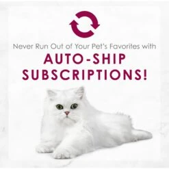 Fancy Feast Medleys Wild Alaskan Salmon Recipe With Garden Veggies In Sauce Canned Cat Food, 3-oz Can, Case Of 24 -Furry Friends 214813 pt8. AC SS1800 V1576853354