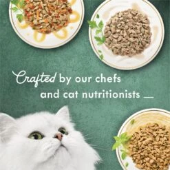 Fancy Feast Medleys Poultry Collection With Garden Greens In Sauce Variety Pack Canned Cat Food, 3-oz Can, Case Of 30 -Furry Friends 215045 PT4. AC SS1800 V1683819406