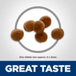 Hill's Science Diet Kitten Chicken & Brown Rice Recipe Dry Cat Food -Furry Friends 215365 PT2. AC SS1800 V1614206182