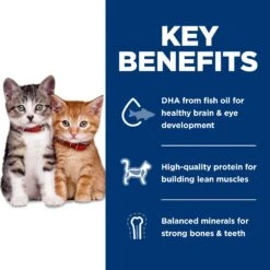 Hill's Science Diet Kitten Chicken & Brown Rice Recipe Dry Cat Food -Furry Friends 215365 PT4. AC SS1800 V1614205881