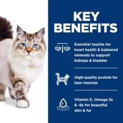 Hill's Science Diet Adult 1-6 Chicken & Brown Rice Recipe Dry Cat Food 15 Hill's Science Diet Adult 1-6 Chicken & Brown Rice Recipe Dry Cat Food -Furry Friends 215369 PT4. AC SS1800 V1614208309