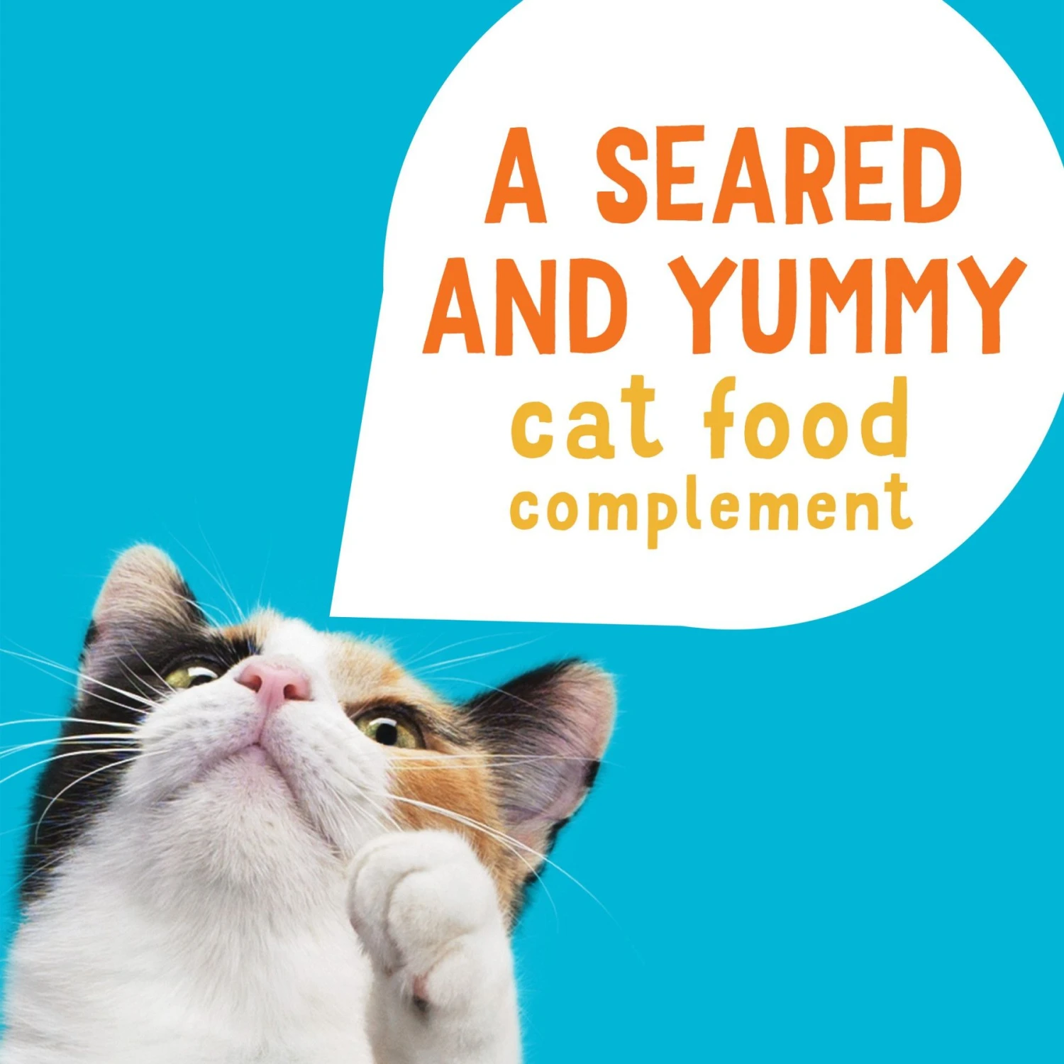 Friskies Lil' Grillers Seared Cuts With Chicken & Tuna In Gravy Variety Pack Wet Cat Food, 1.55-oz Pouch, Case Of 18 5 Friskies Lil' Grillers Seared Cuts With Chicken & Tuna In Gravy Variety Pack Wet Cat Food, 1.55-oz Pouch, Case Of 18 - Image 3