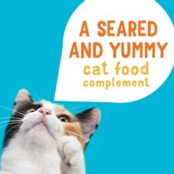 Friskies Lil' Grillers Chicken, Turkey, Ocean Fish & Tuna Variety Pack Gravy Wet Cat Food Complement, 1.55-oz Pouch, Case Of 30 13 Friskies Lil' Grillers Chicken, Turkey, Ocean Fish & Tuna Variety Pack Gravy Wet Cat Food Complement, 1.55-oz Pouch, Case Of 30 -Furry Friends 216212 PT2. AC SS1800 V1699391175