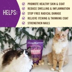 Stella & Chewy's Stella's Solutions Skin & Coat Duck & Salmon Freeze-Dried Raw Cat Food, 7.5-oz Bag -Furry Friends 216636 PT3. AC SS1800 V1580221673
