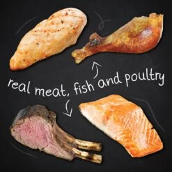 Hound & Gatos Grain-Free Cage Free Turkey Recipe Dry Cat Food -Furry Friends 217774 PT3. AC SS1800 V1588770406