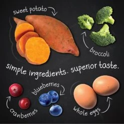 Hound & Gatos Grain-Free Salmon Recipe Dry Cat Food 14 Hound & Gatos Grain-Free Salmon Recipe Dry Cat Food -Furry Friends 217778 PT4. AC SS1800 V1588770464