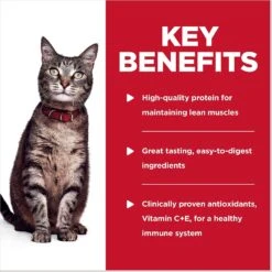 Hill's Science Diet Adult Chicken & Spinach Casserole Recipe Cat Food, 2.8-oz Pouch, Case Of 24 15 Hill's Science Diet Adult Chicken & Spinach Casserole Recipe Cat Food, 2.8-oz Pouch, Case Of 24 -Furry Friends 218067 PT4. AC SS1800 V1598153187