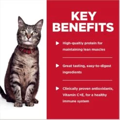 Hill's Science Diet Adult Turkey & Liver Casserole Recipe Cat Food, 2.8-oz Pouch, Case Of 24 15 Hill's Science Diet Adult Turkey & Liver Casserole Recipe Cat Food, 2.8-oz Pouch, Case Of 24 -Furry Friends 218069 PT4. AC SS1800 V1598144505