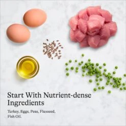 American Journey Minced Turkey Recipe In Gravy Grain-Free Canned Cat Food -Furry Friends 218187 PT6. AC SS1800 V1689972584