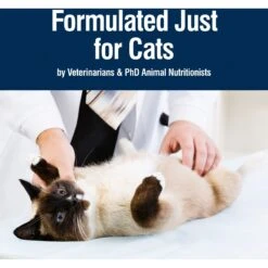 Blue Buffalo True Solutions Healthy Weight Natural Weight Control Chicken Adult Wet Cat Food -Furry Friends 218283 PT6. AC SS1800 V1676653968
