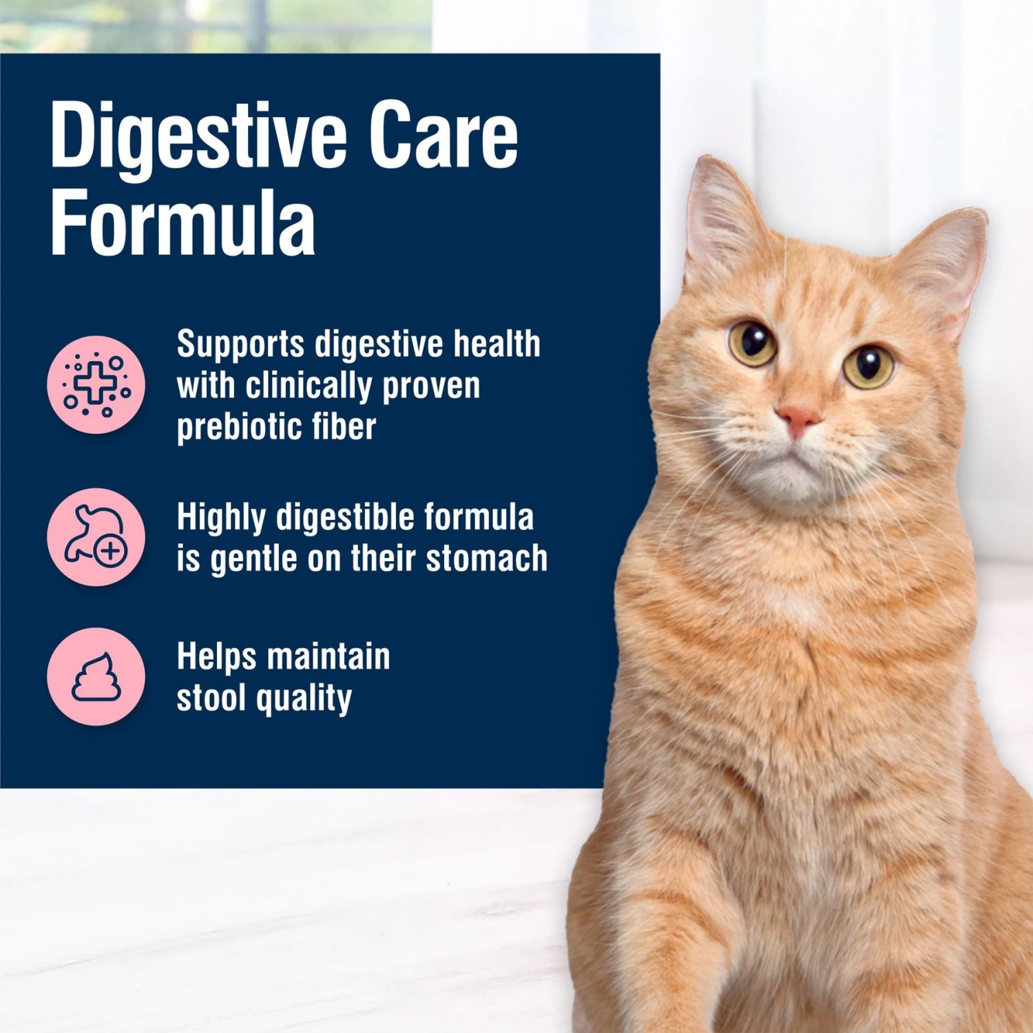 Blue Buffalo True Solutions Blissful Belly Digestive Care Formula Dry Cat Food 6 Blue Buffalo True Solutions Blissful Belly Digestive Care Formula Dry Cat Food - Image 4