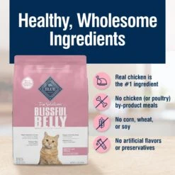 Blue Buffalo True Solutions Blissful Belly Digestive Care Formula Dry Cat Food 15 Blue Buffalo True Solutions Blissful Belly Digestive Care Formula Dry Cat Food -Furry Friends 218292 PT5. AC SS1800 V1696451637
