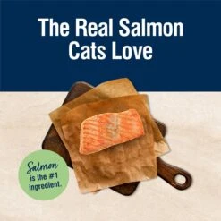 Blue Buffalo True Solutions Perfect Skin & Coat Natural Salmon Adult Dry Cat Food -Furry Friends 218303 PT2. AC SS1800 V1696449937