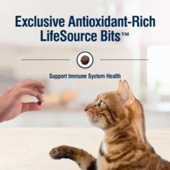 Blue Buffalo True Solutions Perfect Skin & Coat Natural Salmon Adult Dry Cat Food -Furry Friends 218303 PT6. AC SS1800 V1696449988